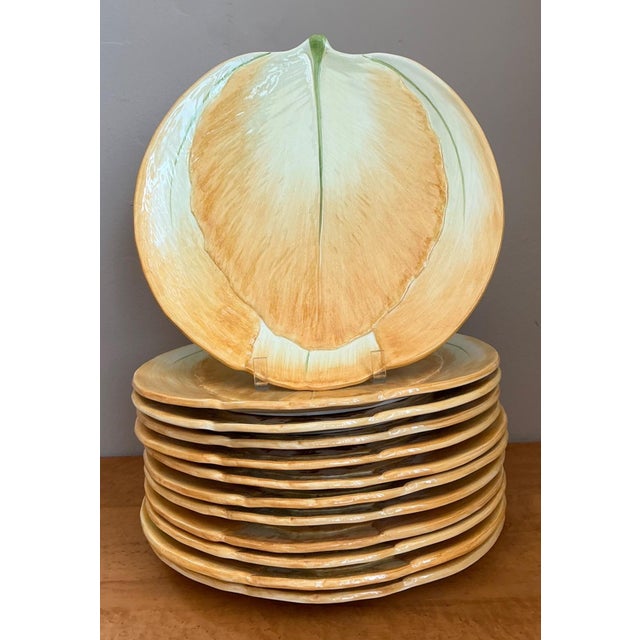 Vintage Italian Botanical Ceramic Dinner Plates - Set of 12 For Sale - Image 12 of 15
