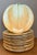 Vintage Italian Botanical Ceramic Dinner Plates - Set of 12 For Sale - Image 12 of 15