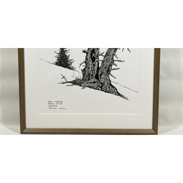 Drawing/Sketching Materials 1980s Steve LeBailly Signed Pen & Ink Drawing "Burma Road Juniper" Mackay, Idaho For Sale - Image 7 of 10