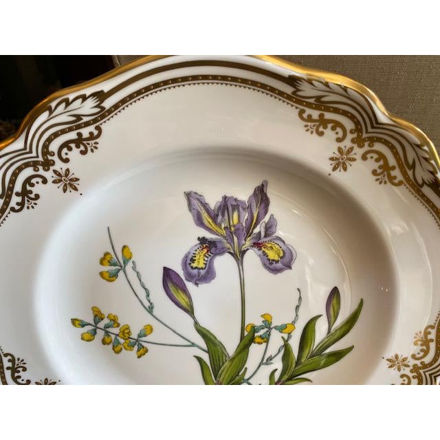 Spode English Dinner Stafford Flowers Bone Plates - 14 ...