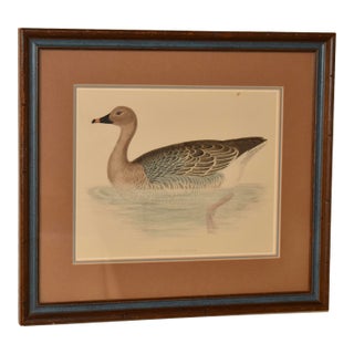 19th Century Beverley Morris Engraving For Sale