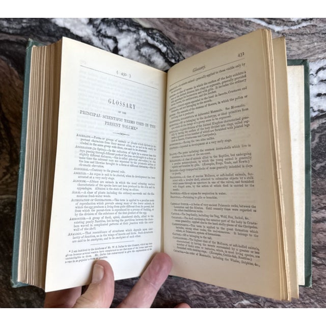 Charles Darwin the Origin of Species 1875 London Sixth Ed. Fifteenth Thousand. For Sale - Image 14 of 17