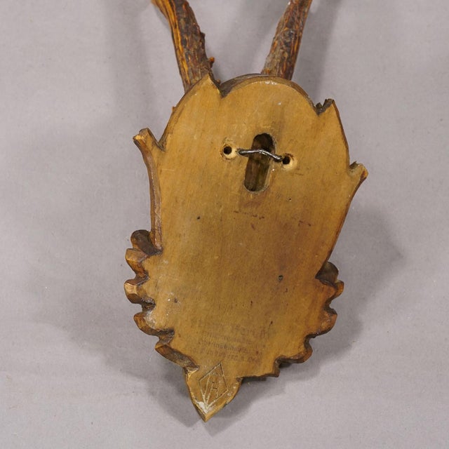 Rustic European Vintage Black Forest Red Deer Trophy on Carved Plaque, Germany 1950s For Sale - Image 3 of 5