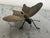 Brass Brass Moth Insect Handmade French 2 X 4 For Sale - Image 8 of 16