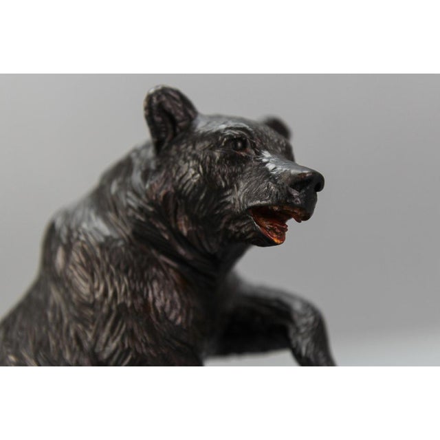Antique Black Forest Carved Seated Bear Figure, 1890s For Sale - Image 4 of 18
