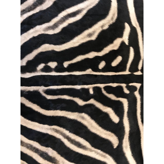 Equus Burchell Zebra Skin Rug 5′ × 8′2″ Chairish