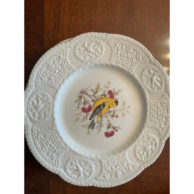 Ceramic Set of 8 Royal Cauldon Dinner Plates “Aviary” Pattern Bristol Ironstone For Sale - Image 7 of 9