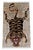 A hand-knotted rug in the Tibetan tiger design, woven on a natural grey ground with the full pelt laid out across the...