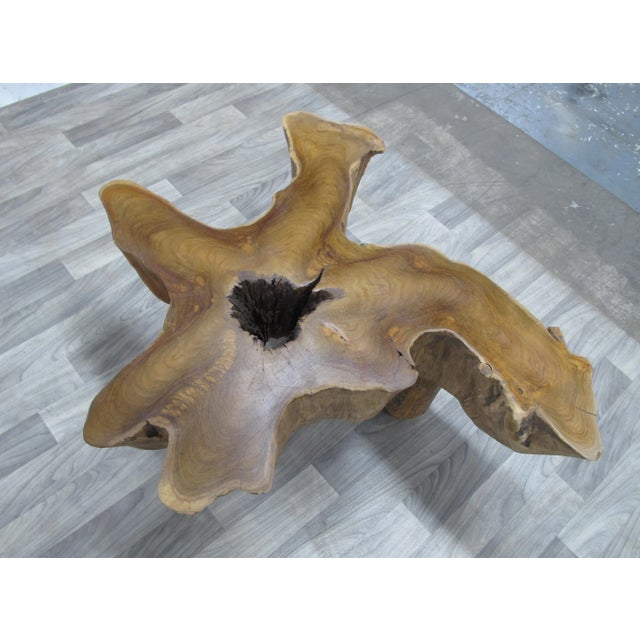 Contemporary Free Form Brown One Slab Teak Living Edge Coffee Table For Sale - Image 3 of 8