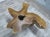 Contemporary Free Form Brown One Slab Teak Living Edge Coffee Table For Sale - Image 3 of 8