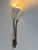 Mid-Century Modern Gooseneck Wall Lamp, Italy, 1950s For Sale - Image 11 of 18