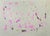 Contemporary Maurizio Gracceva, Incontrarsi, 2024, Mixed Media Drawing on Paper For Sale - Image 3 of 4