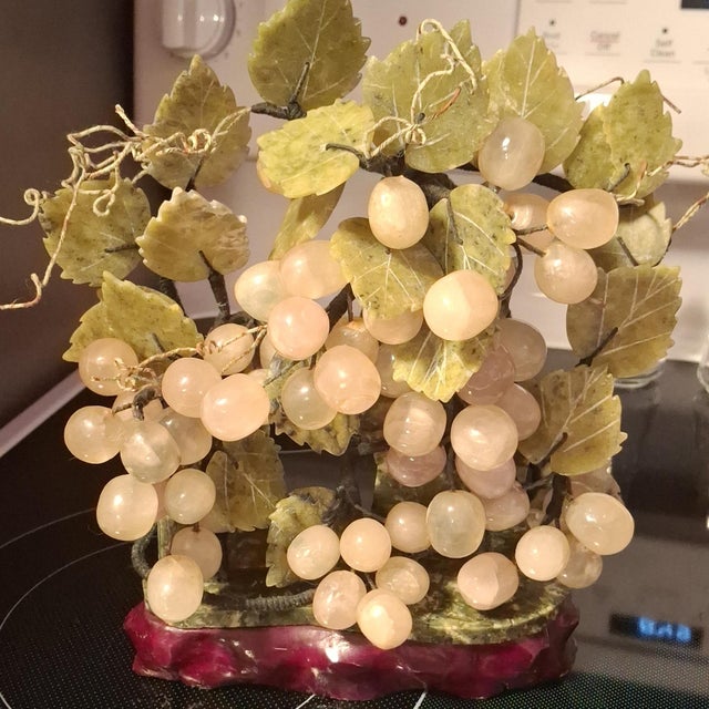Grape Vines Bonsai Tree For Sale - Image 11 of 12