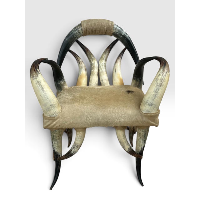 Animal Skin Pair of Rare Vintage Steer Horn &Amp; Cowhide Rustic Southwestern Armchairs. For Sale - Image 7 of 12