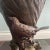 Rustic European 19th Century Figural Bird Copper Bronze Urn For Sale - Image 3 of 13