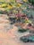 Mountain stream. One-of-a-kind original oil painting on a 24x24-inch gallery-wrapped professional canvas. Painting is...