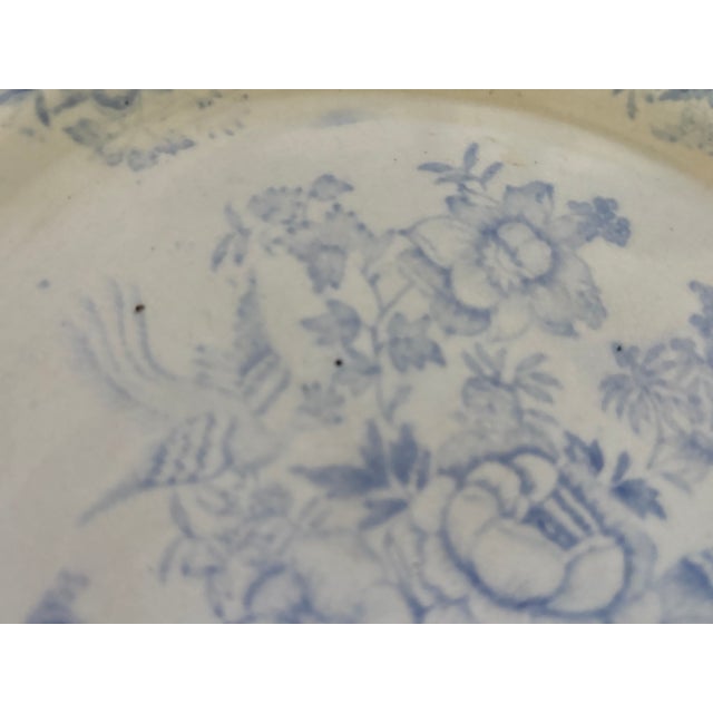 English Mid 19th Century Asiatic Pheasant Dinner Plate For Sale - Image 3 of 12
