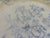 English Mid 19th Century Asiatic Pheasant Dinner Plate For Sale - Image 3 of 12
