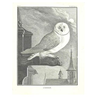 Jean Charles Baquoy, l'Effrieie, Etching by Jean Charles Baquoy, 1771, 1800s, Etching For Sale