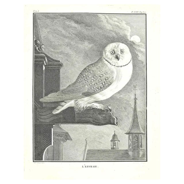 Jean Charles Baquoy, l'Effrieie, Etching by Jean Charles Baquoy, 1771, 1800s, Etching For Sale