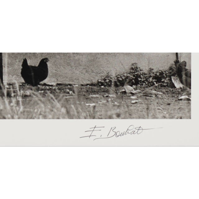 Artist: Édouard Boubat, 1923–1999 Title: "La Poule et l'Arbre, Pau, France"1950 / printed 1980s Medium: gelatin silver...
