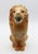 Mid-20th century stoneware French lion jug. For a bistro, clearly marked for "Aux Deux Passages 11 Rue de l'Acadamie & 24...