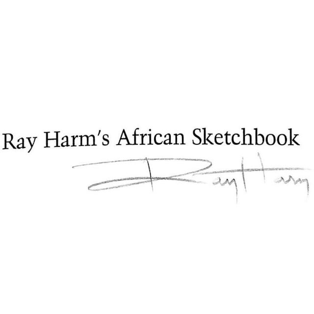 HARM, Ray [80] pp. Frame House Gallery, Inc. 1973 11 1/2" x 15 1/2"