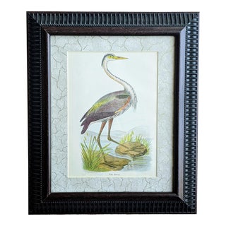 Vintage Coastal Heron Bird Lithograph Framed For Sale