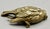 Gilt Bronze Sparrow Bird Sculpture Paperweight Attributed to Comoléra For Sale - Image 4 of 8