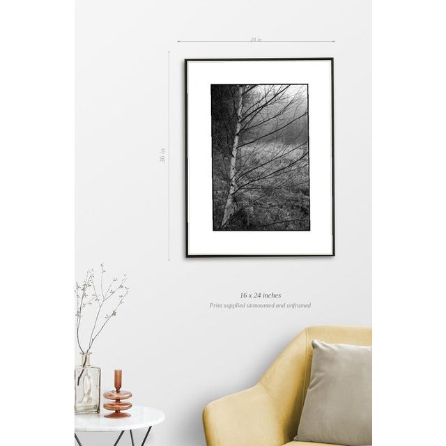Fine art Giclee prints on Hahnemuhle Photo Rag 308gsm - a 100% cotton, acid-free, mould-made paper. Printed to Fine Art...