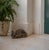 Vintage Cast Iron Sleeping Fox Statue For Sale - Image 12 of 12