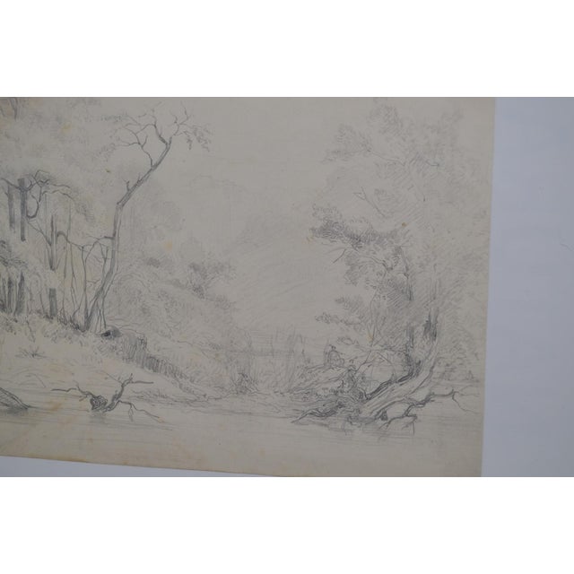 Drawing/Sketching Materials French School of the 20th Century. Pencil Drawing “tree Landscape” For Sale - Image 7 of 10