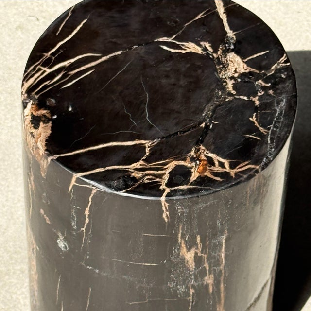 Small Side Table in Black Petrified Wood with Beige Striations For Sale - Image 12 of 18