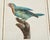 Pair Jacques Barraband Hand Colored Ornithological Bird Prints For Sale - Image 11 of 17