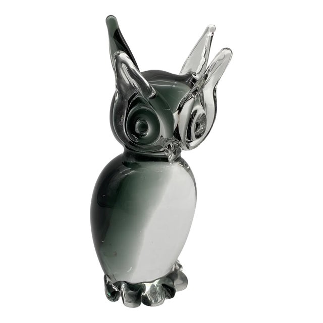 Murano Glass Owl Figurine by Vincenzo Nason, Italy, 1970s For Sale