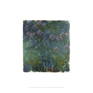 Claude Monet 'Agapanthus' Impressionism Offset Lithograph For Sale