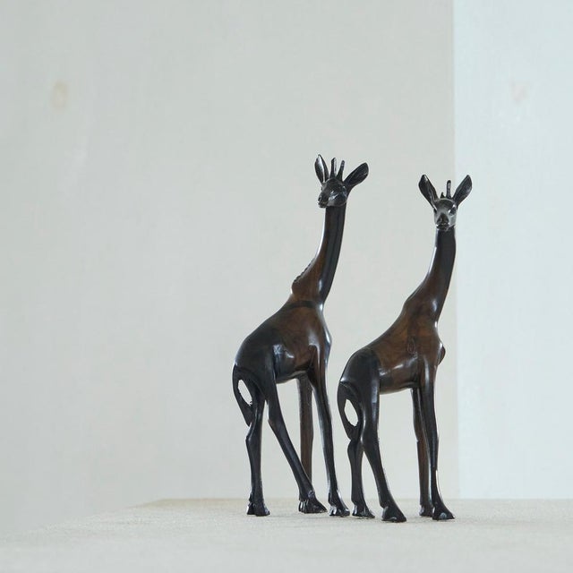 Giraffes in Coromandel Wood, 1930s, Set of 2 For Sale - Image 3 of 10