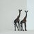 Giraffes in Coromandel Wood, 1930s, Set of 2 For Sale - Image 3 of 10
