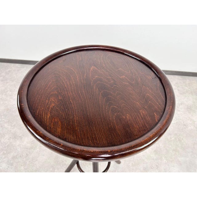 Thonet Bentwood Plant Stand from Thonet, 1920s For Sale - Image 4 of 9