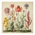 This stunning natural history print reproduces an antique botanical illustration featuring an extraordinary collection of...