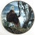 Ceramic 1990s Collectible Porcelain Printed Bald Eagle Series Plate For Sale - Image 7 of 7