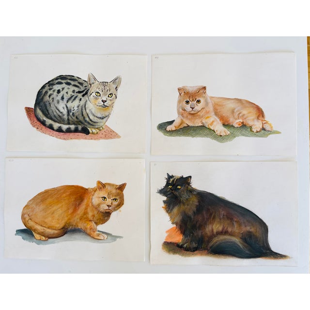 Gorgeous set of 4 original art- watercolors on paper cat pictures.