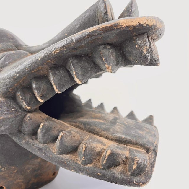 Early 20th Century Senufo Firespitter Helmet Mask Côte d'Ivoire For Sale - Image 4 of 9