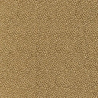 Sample - Schumacher Kenya Texture Fabric in Olive For Sale