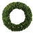 Boxwood Wreath 24" For Sale