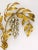 Gilt Metal Palm Tree Wall Light in Maison Jansen Style by Hans Kögl, Germany, 1970s For Sale - Image 9 of 11