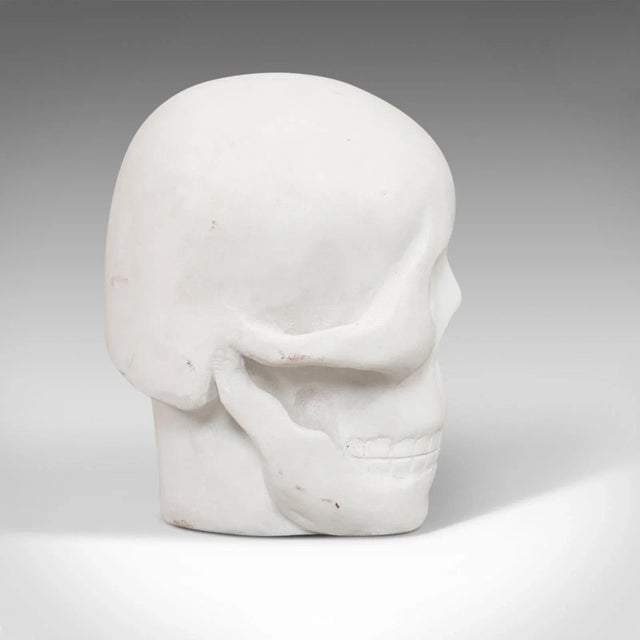 20th Century Marble Skull Decorative Ornament For Sale - Image 4 of 11