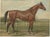 After Eerelman, Thoroughbred Horse Portrait, Pur Sang, Lithograph, 1898 For Sale - Image 10 of 10