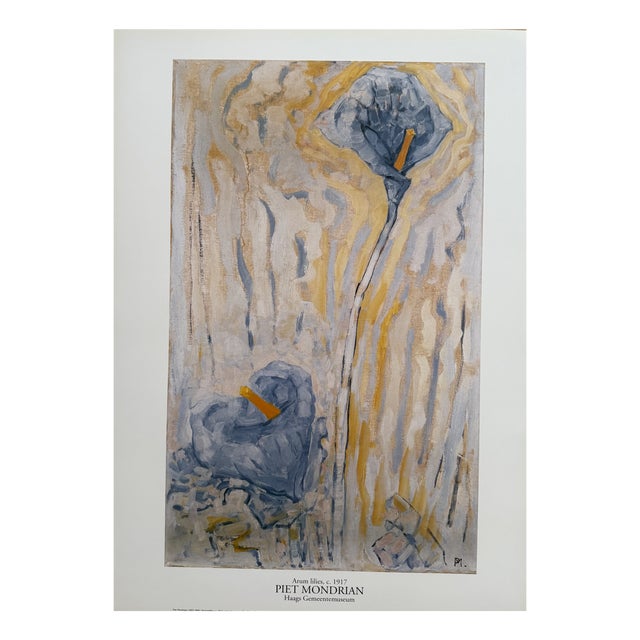 Piet Mondrian, Aronskelken, Print For Sale