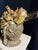 Celestial Meets the Sea-Shell Encrusted Bust-Coastal Art Sculpture For Sale - Image 12 of 15